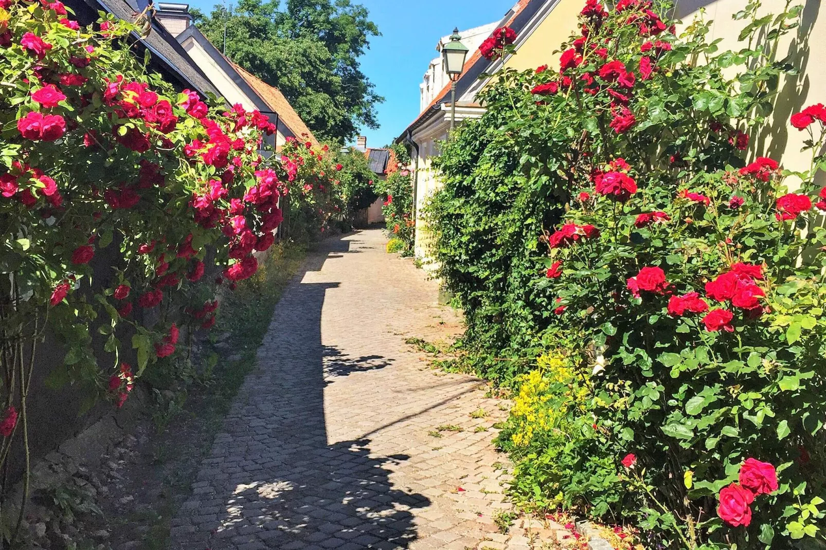 5 person holiday home in VISBY-By Traum-Not tagged