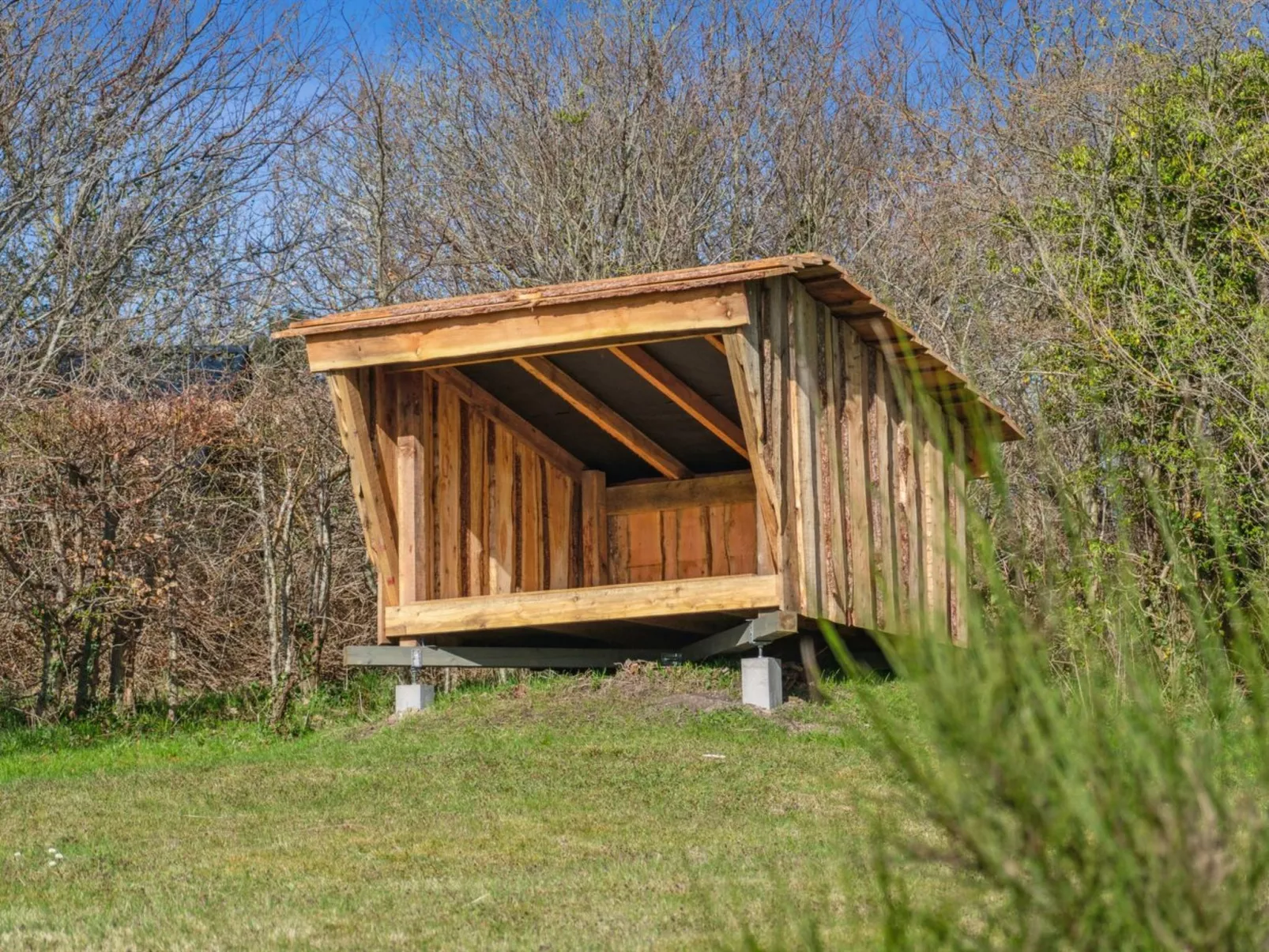 "Asel" - 25m from the sea