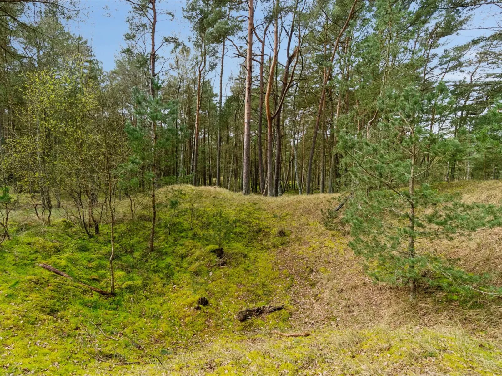 "Ava" - 850m from the sea