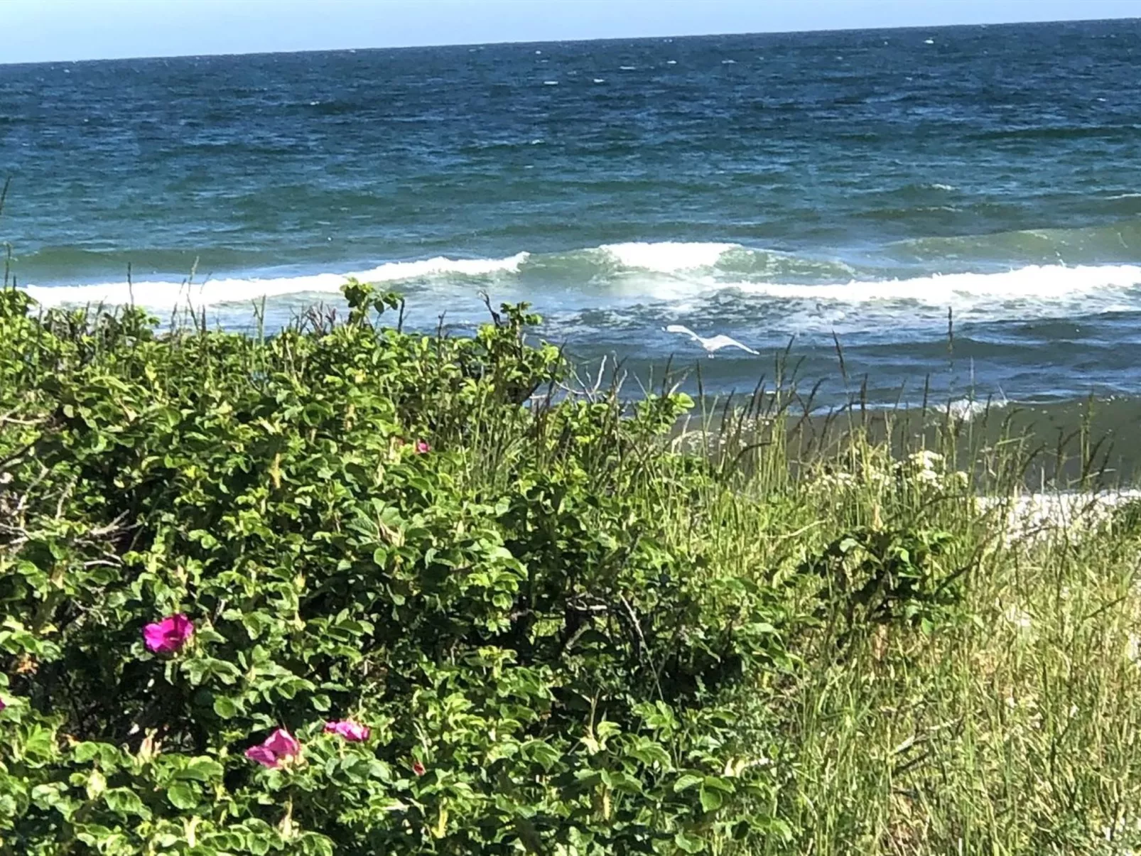 "Tuulikki" - 100m from the sea