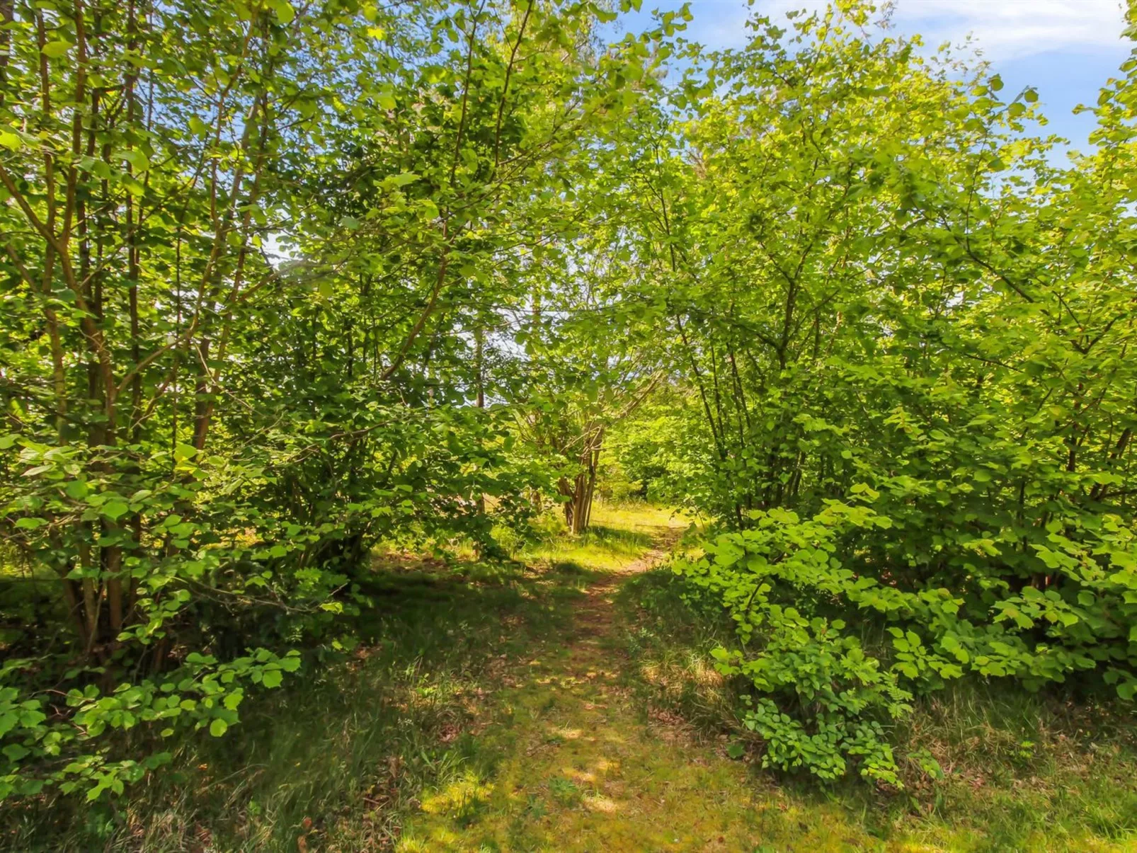 "Gullmaj" - 200m from the sea