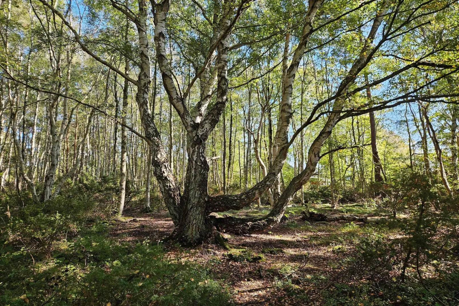 4 star holiday home in Bohus-Untagged