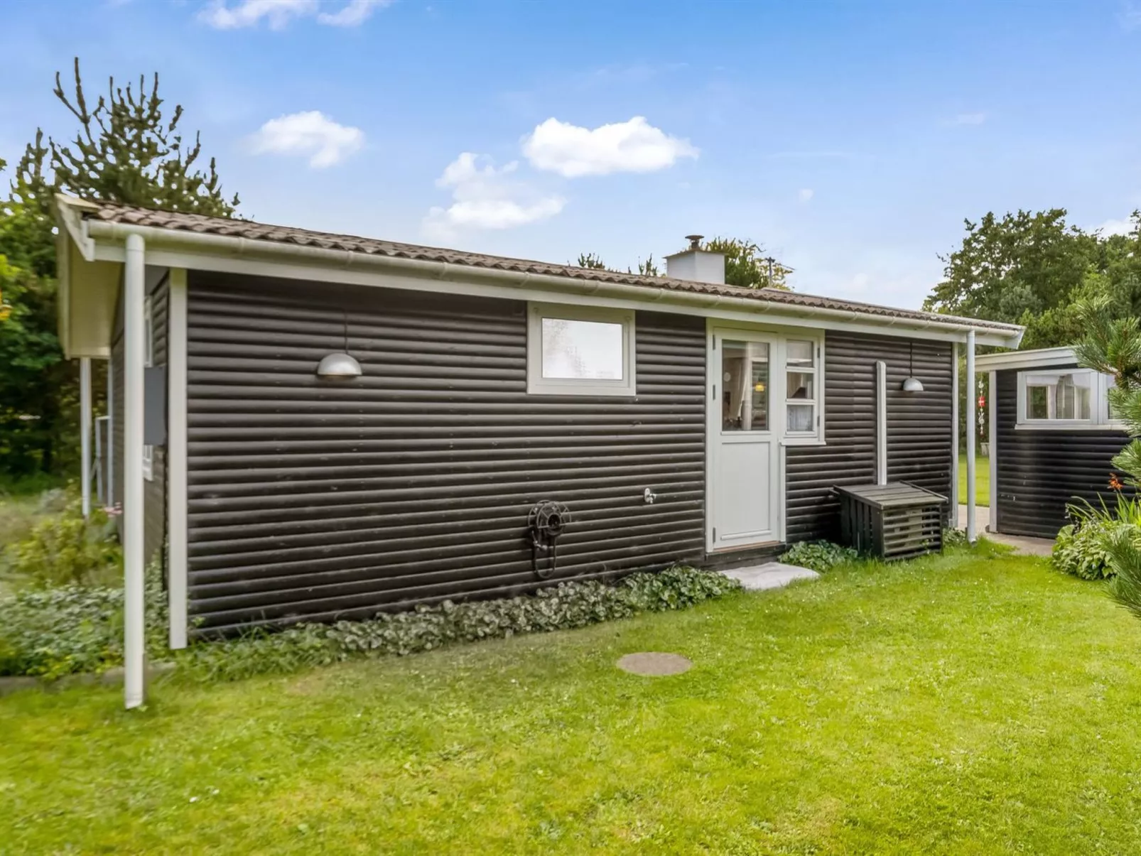 "Roque" -  from the sea