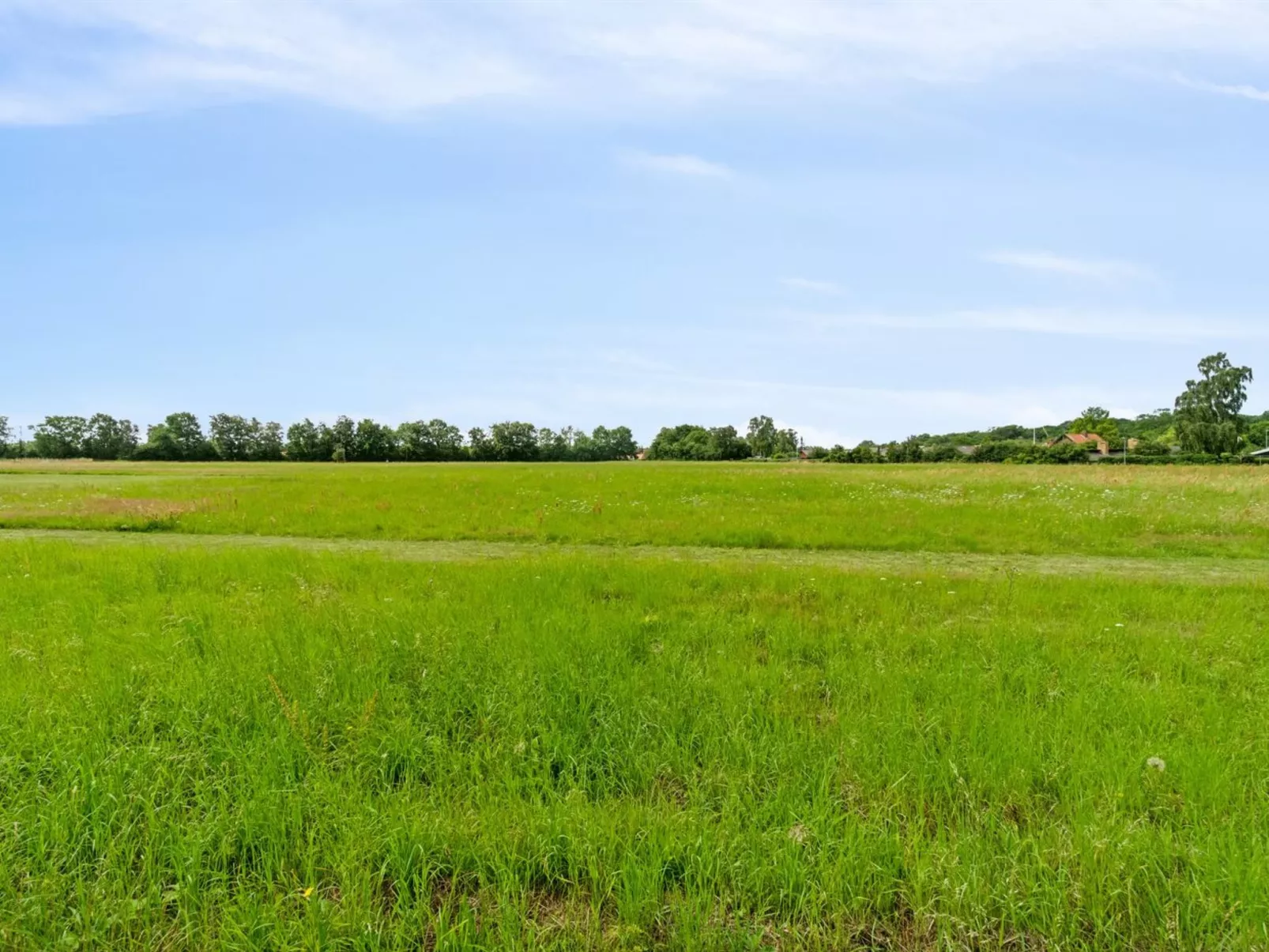 "Simon" - 1km from the sea