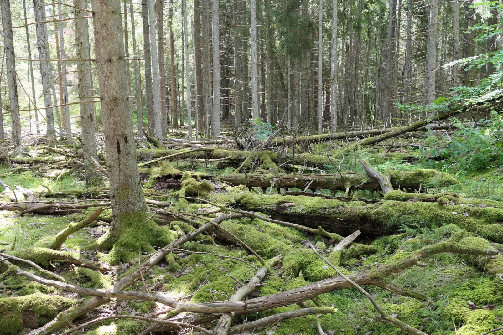 4 etoiles maison de vacances a VÄRMDÖ-Non tagué