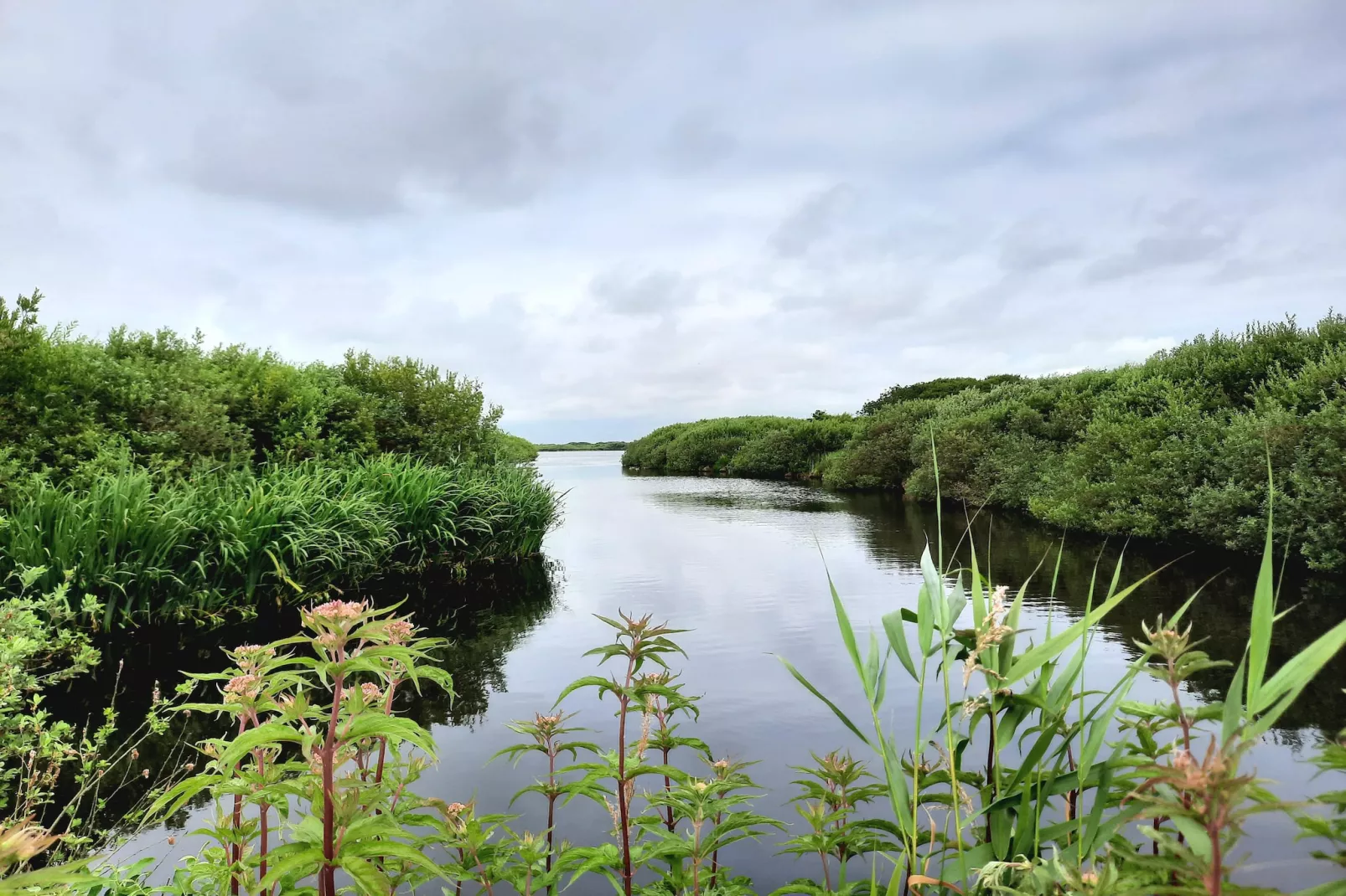 Tipitent de Jutter-Gebiete Sommer 5 km
