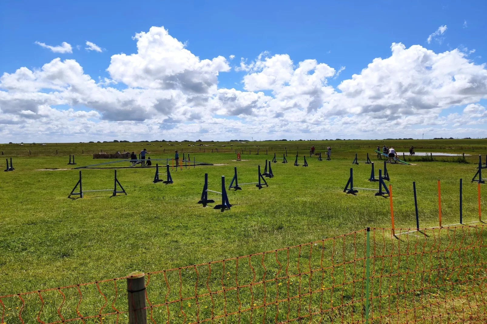 Ferienhaus 06 Marintje-Areas within 5km in summer