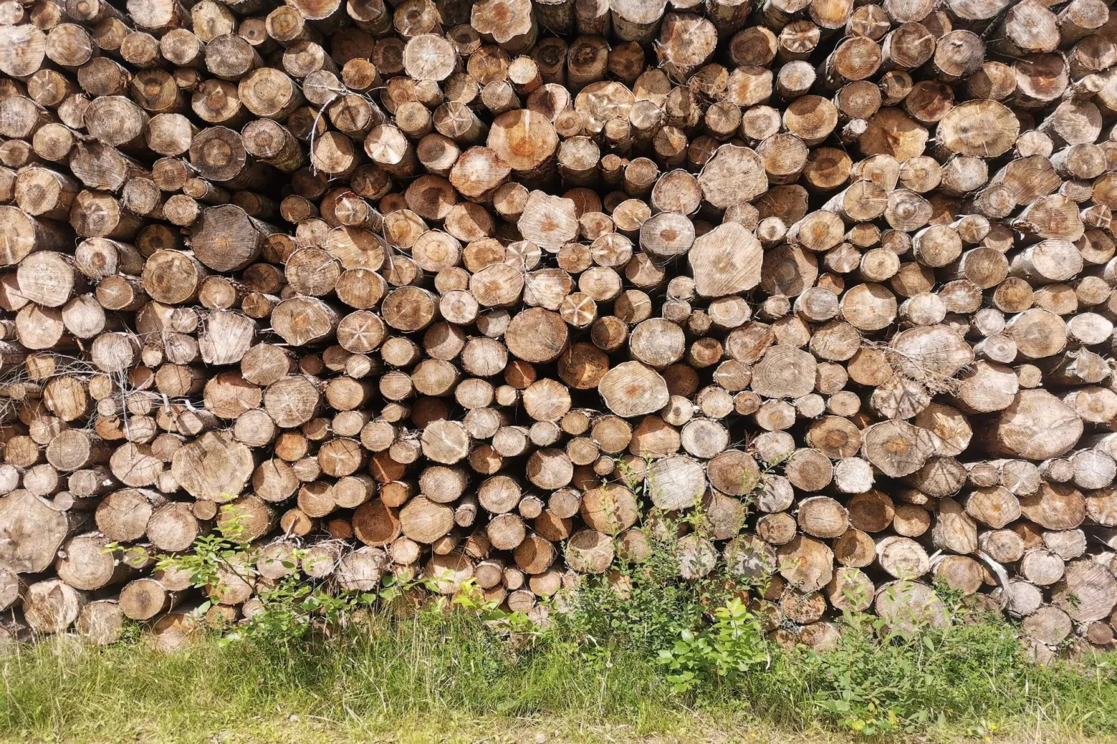 Maison de vacances pour 4 a Læsø