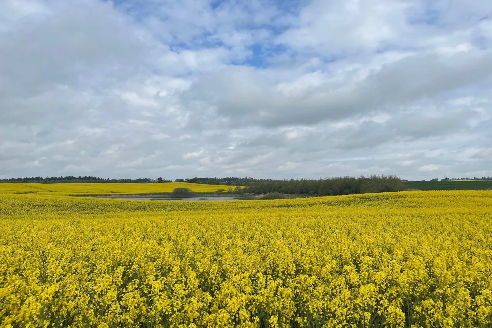 5 person holiday home in Thisted-By Traum-Untagged