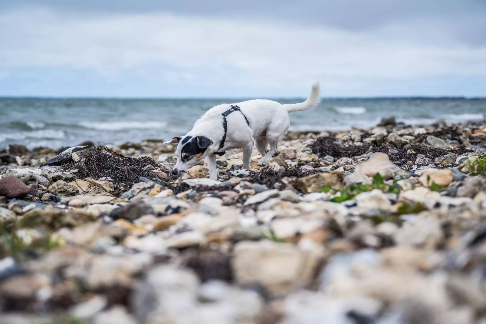 4 Sterne Ferienhaus in Vestervig-By Traum-Wasserblick