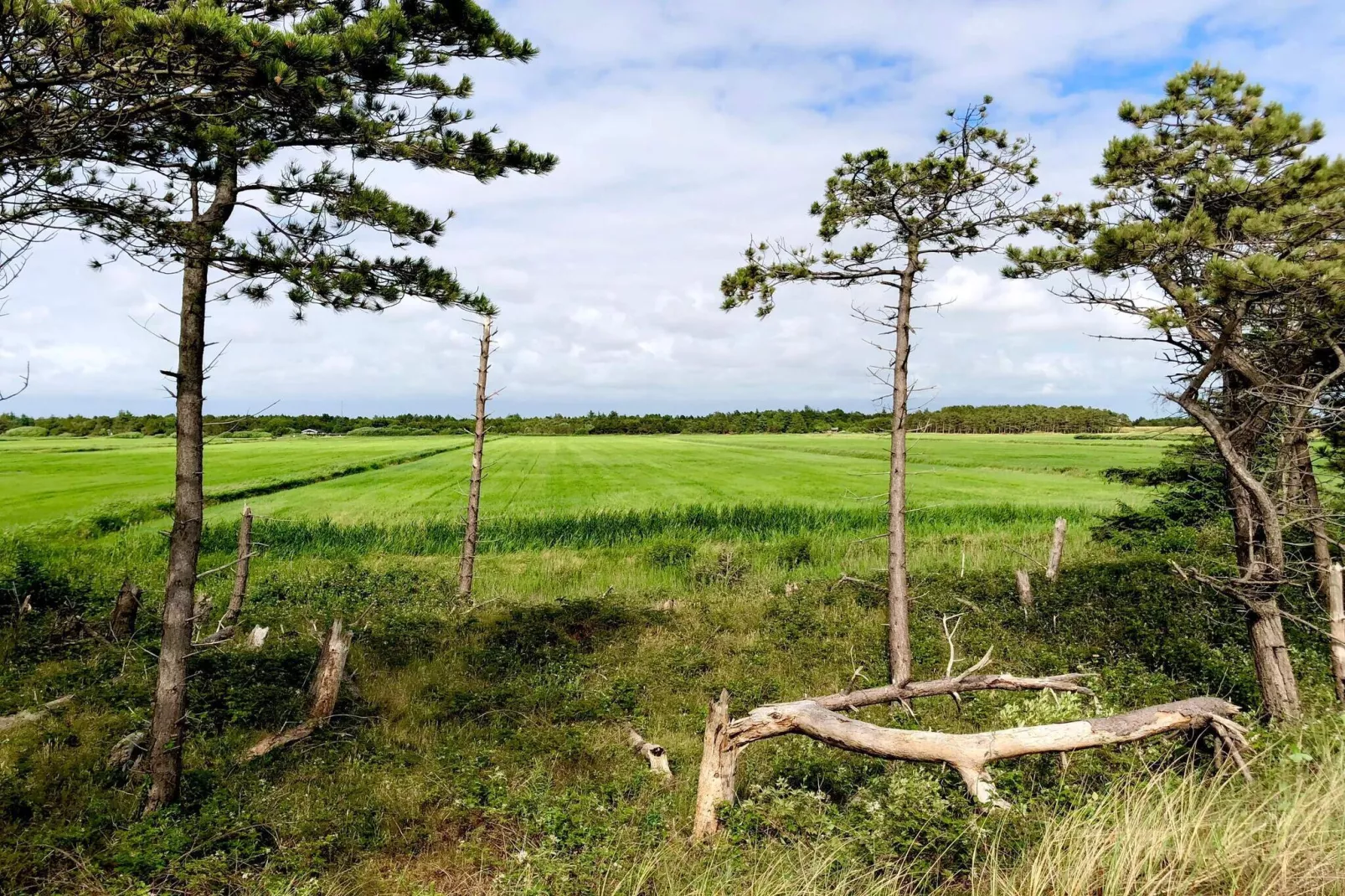 5 etoiles maison de vacances a Rømø-Non tagué