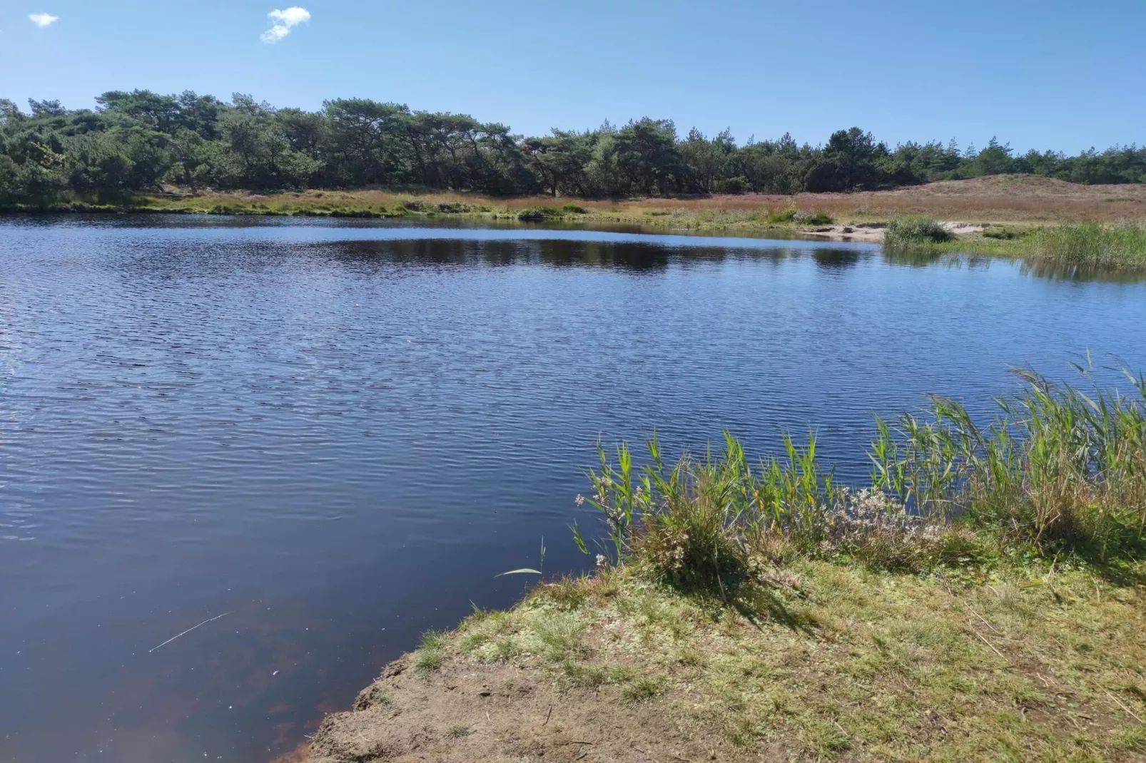 5 Sterne Ferienhaus in Rømø-Wasserblick