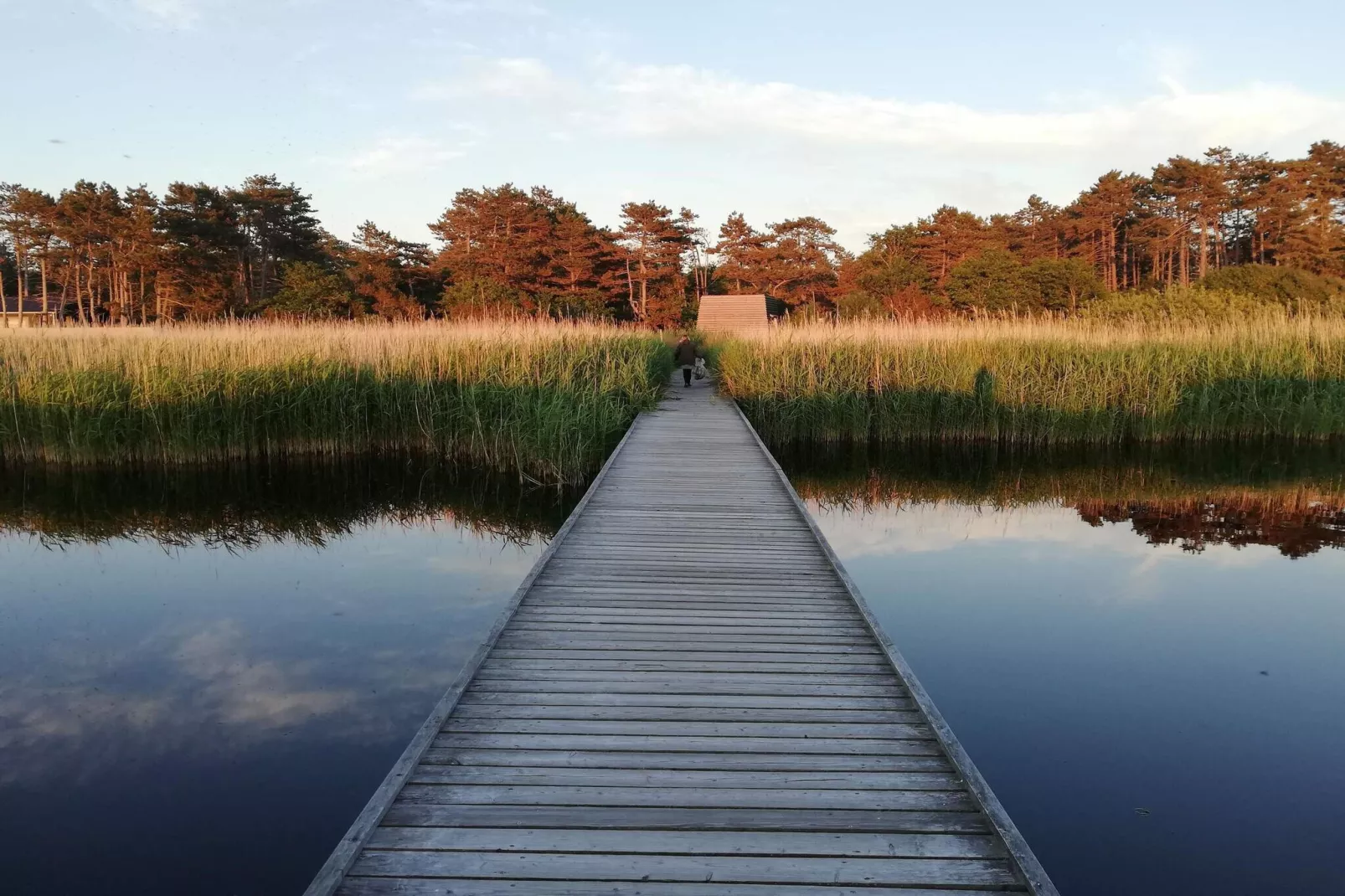 8 person holiday home in Asnæs-Water view