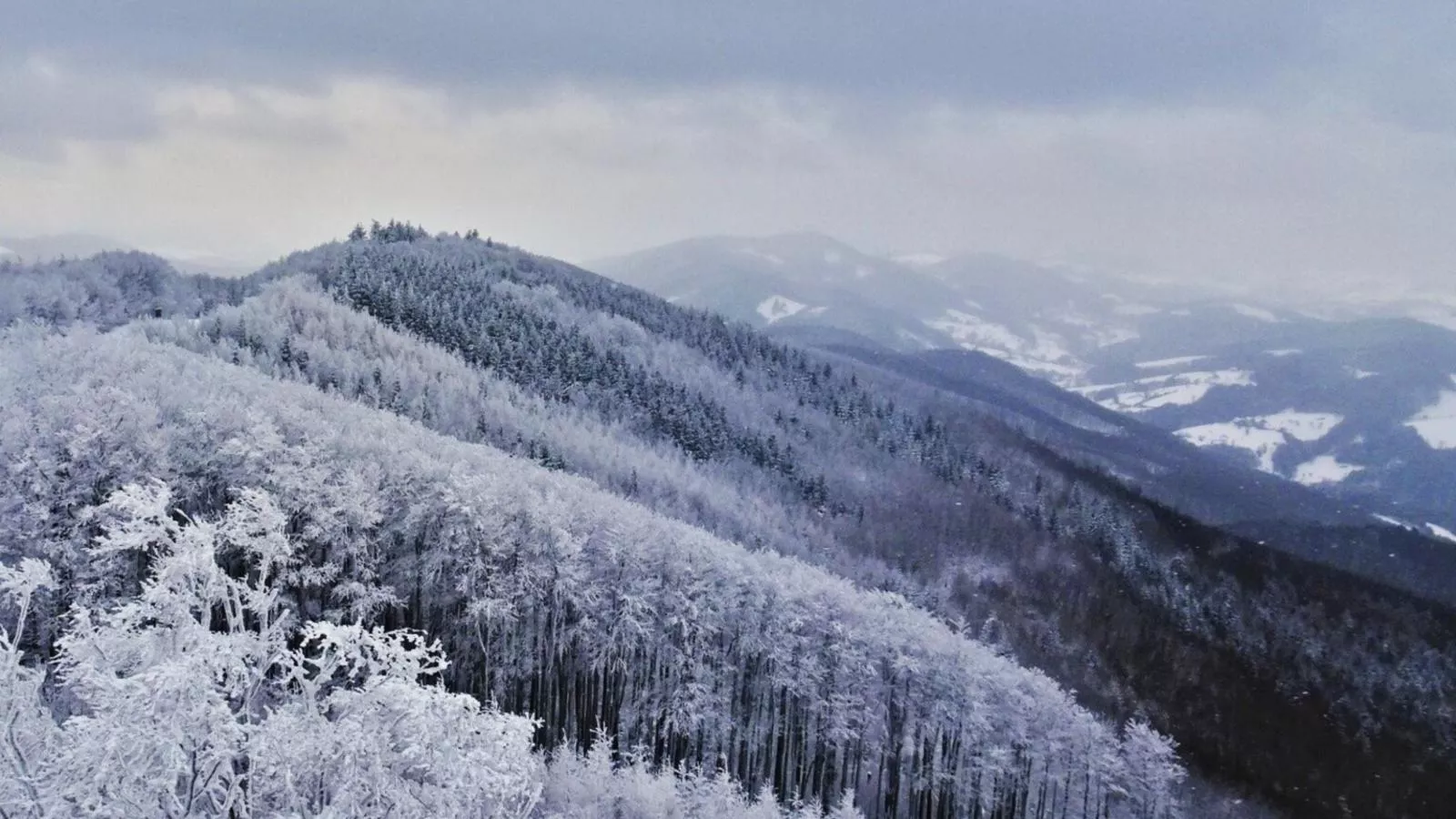 Wienerwaldblick-Zones hiver à 20 km