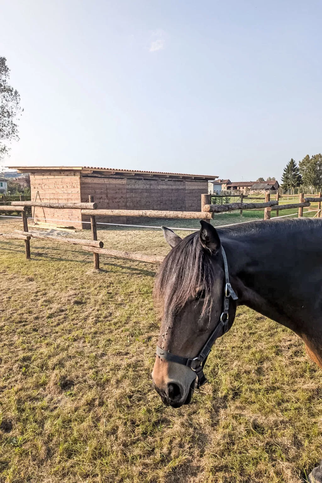 Tenuta Beatrice-Drinnen