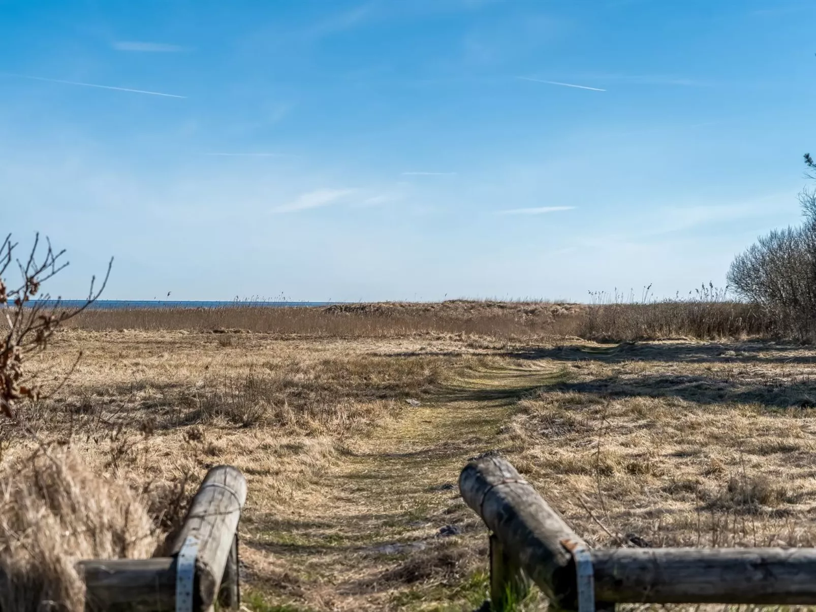 "Jaike" -  from the sea-Dehors