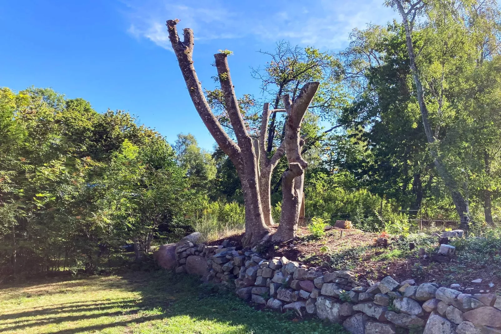 4 person holiday home in Hagby