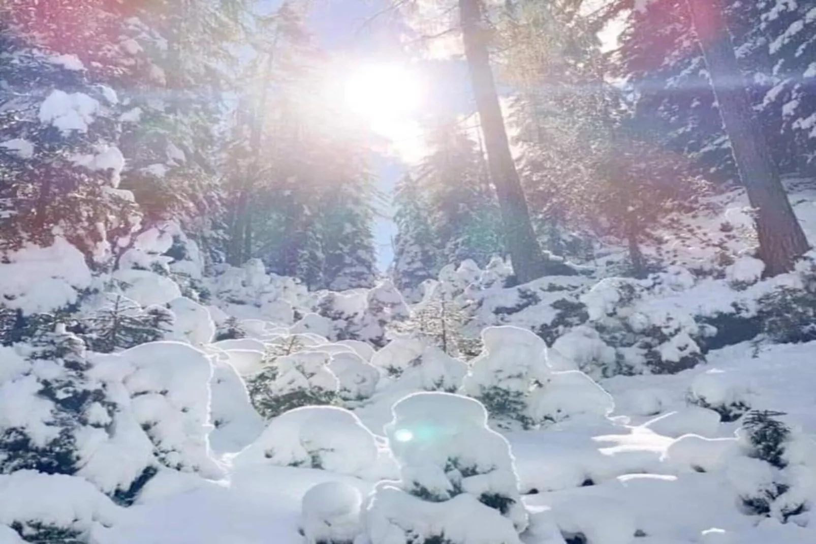 Ferienwohnung Jutta-Zones hiver à 20 km