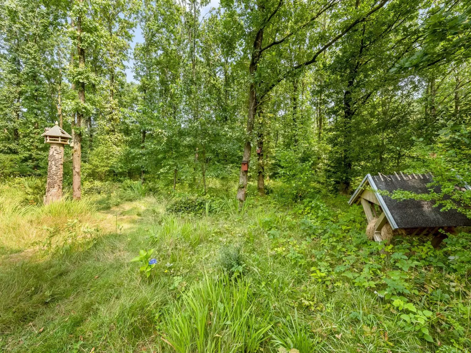 "Lenya" - 33km from the sea