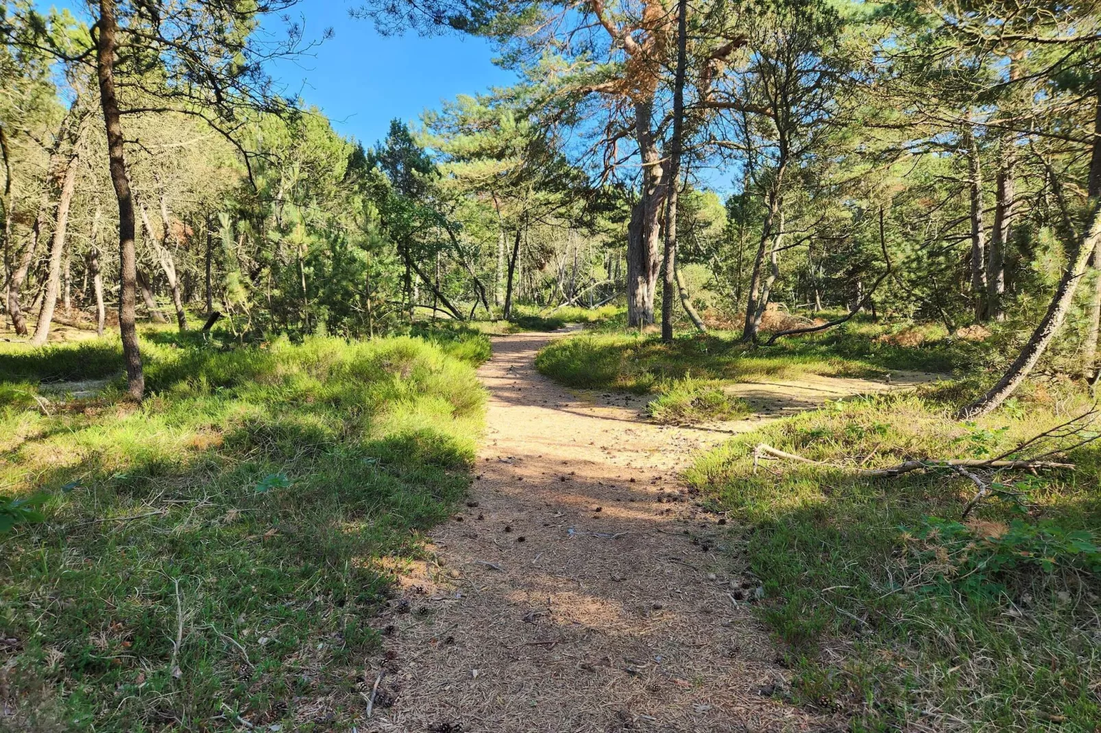 6 Personen Ferienhaus in Hadsund-By Traum-Nicht zugeordnet