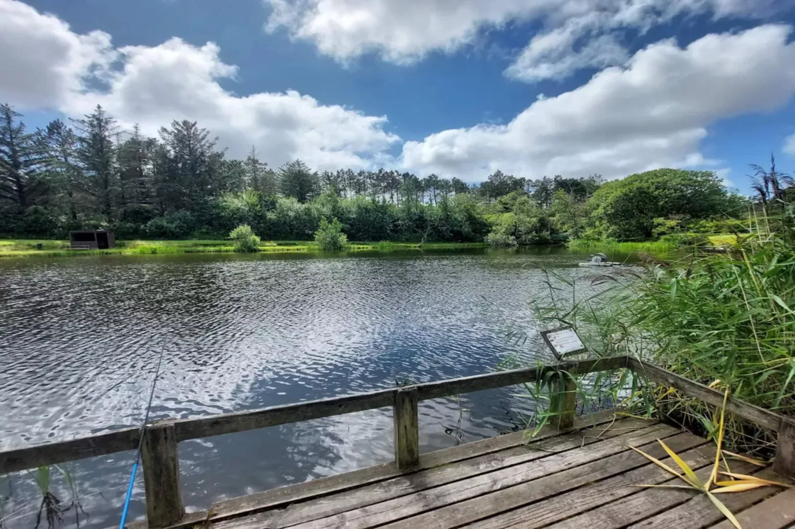 4 Sterne Ferienhaus in Løkken-Wasserblick