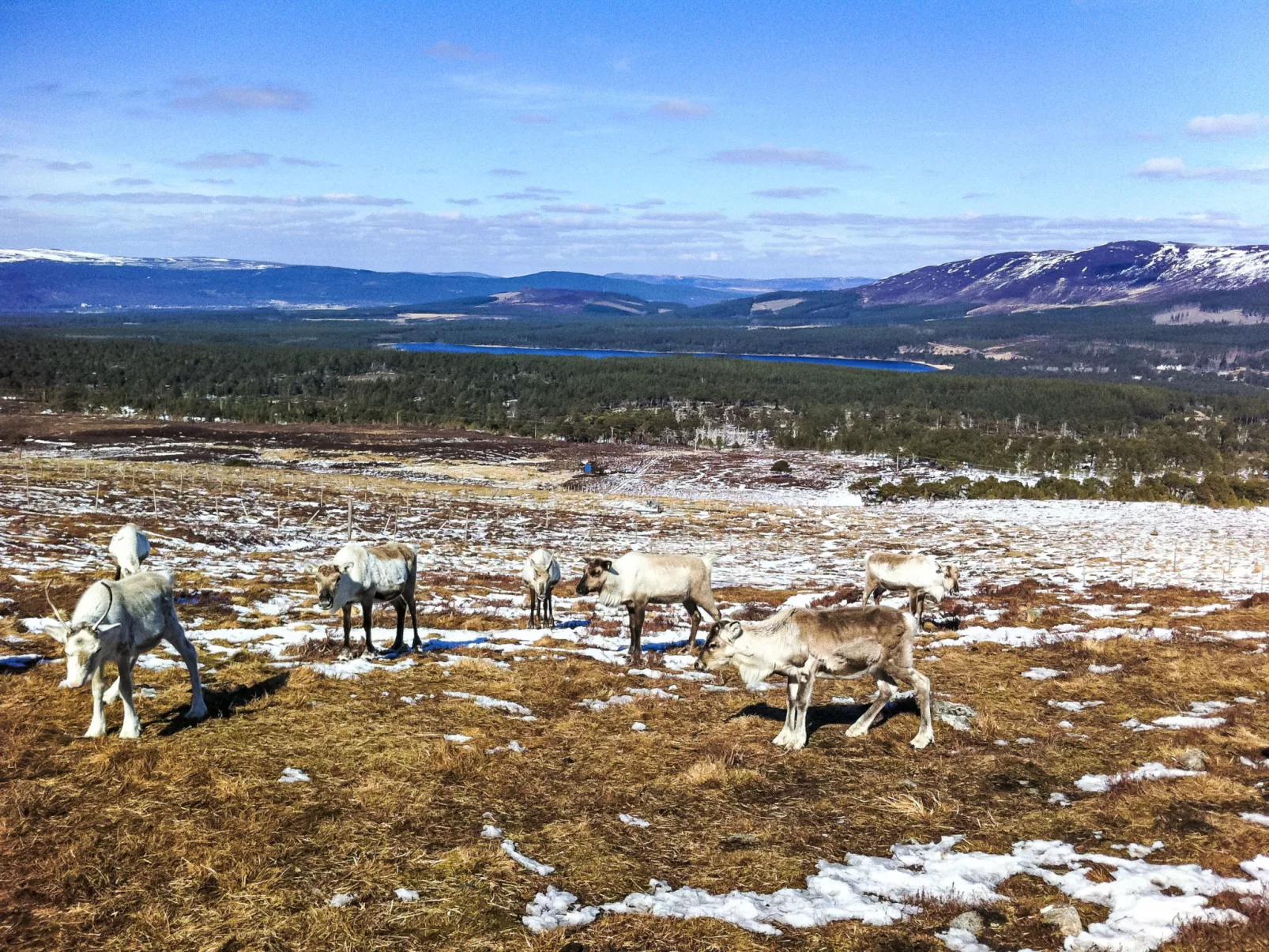 Cairn View-Environnement