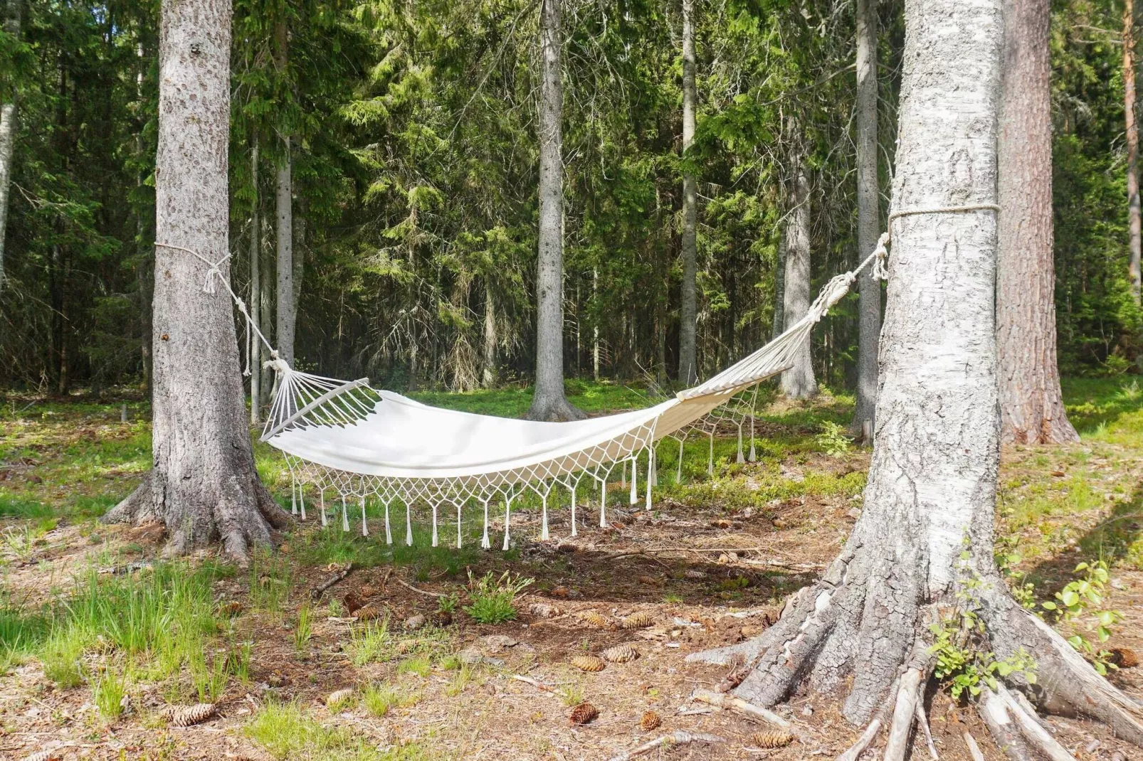 5 person holiday home in GRISSLEHAMN-By Traum-Outdoor