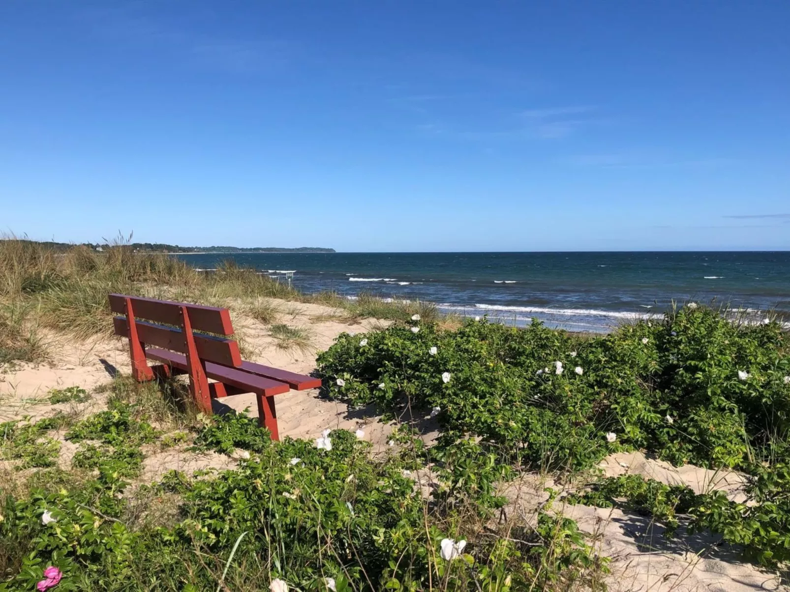 "Enken" - 750m from the sea