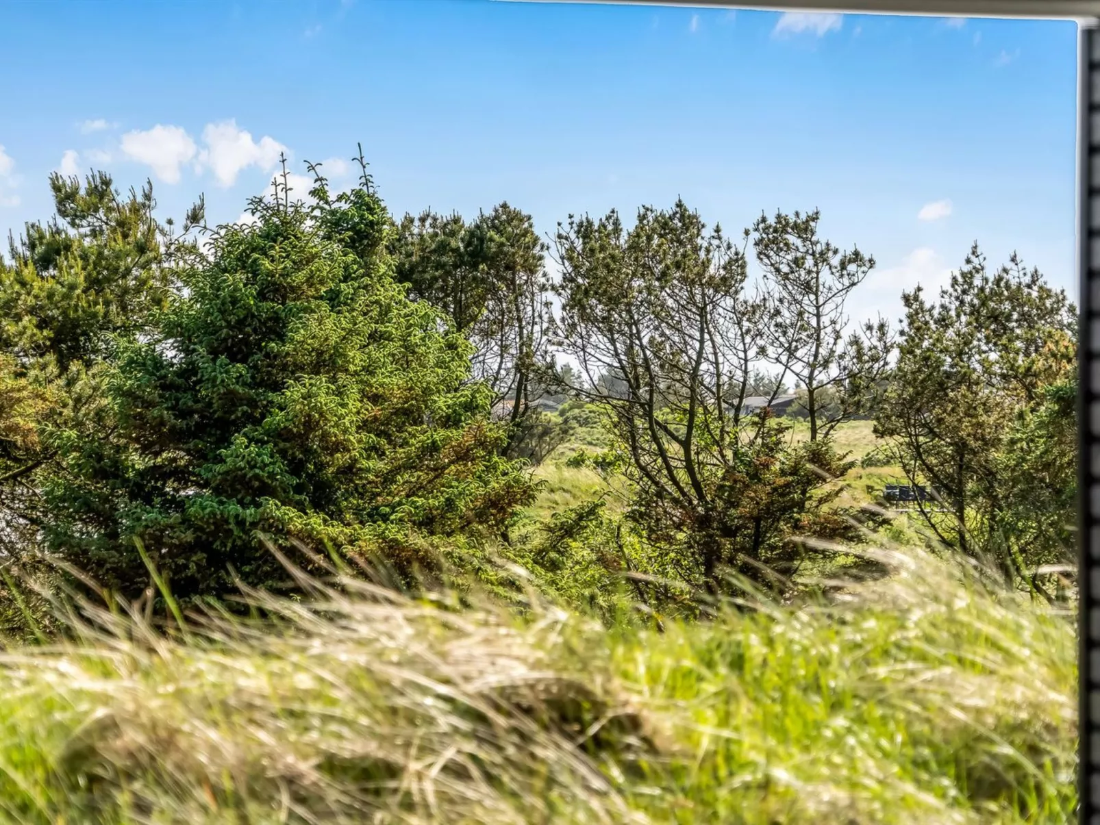 "Eriksine" - 750m from the sea