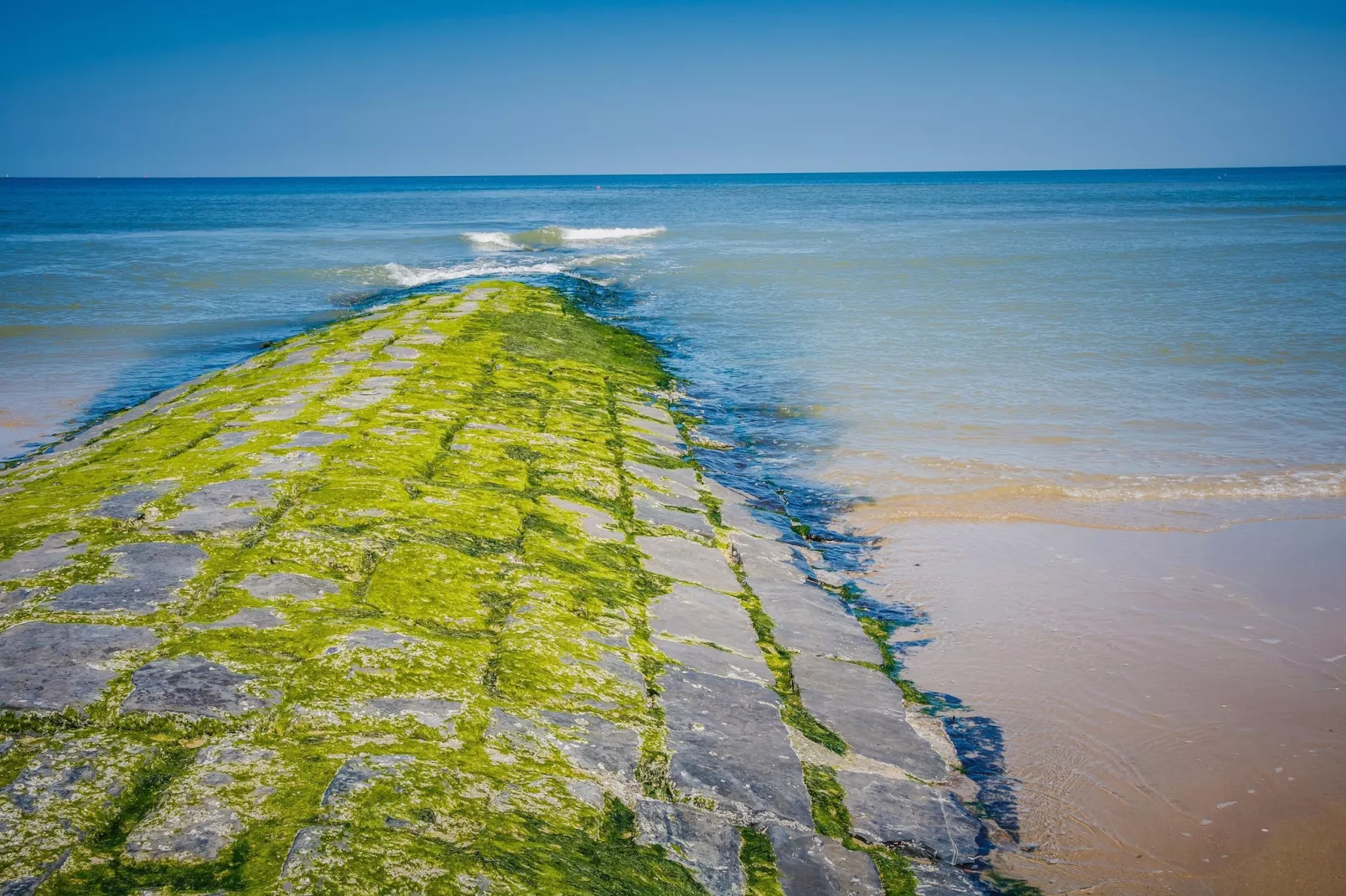 De Rede-Areas within 5km in summer