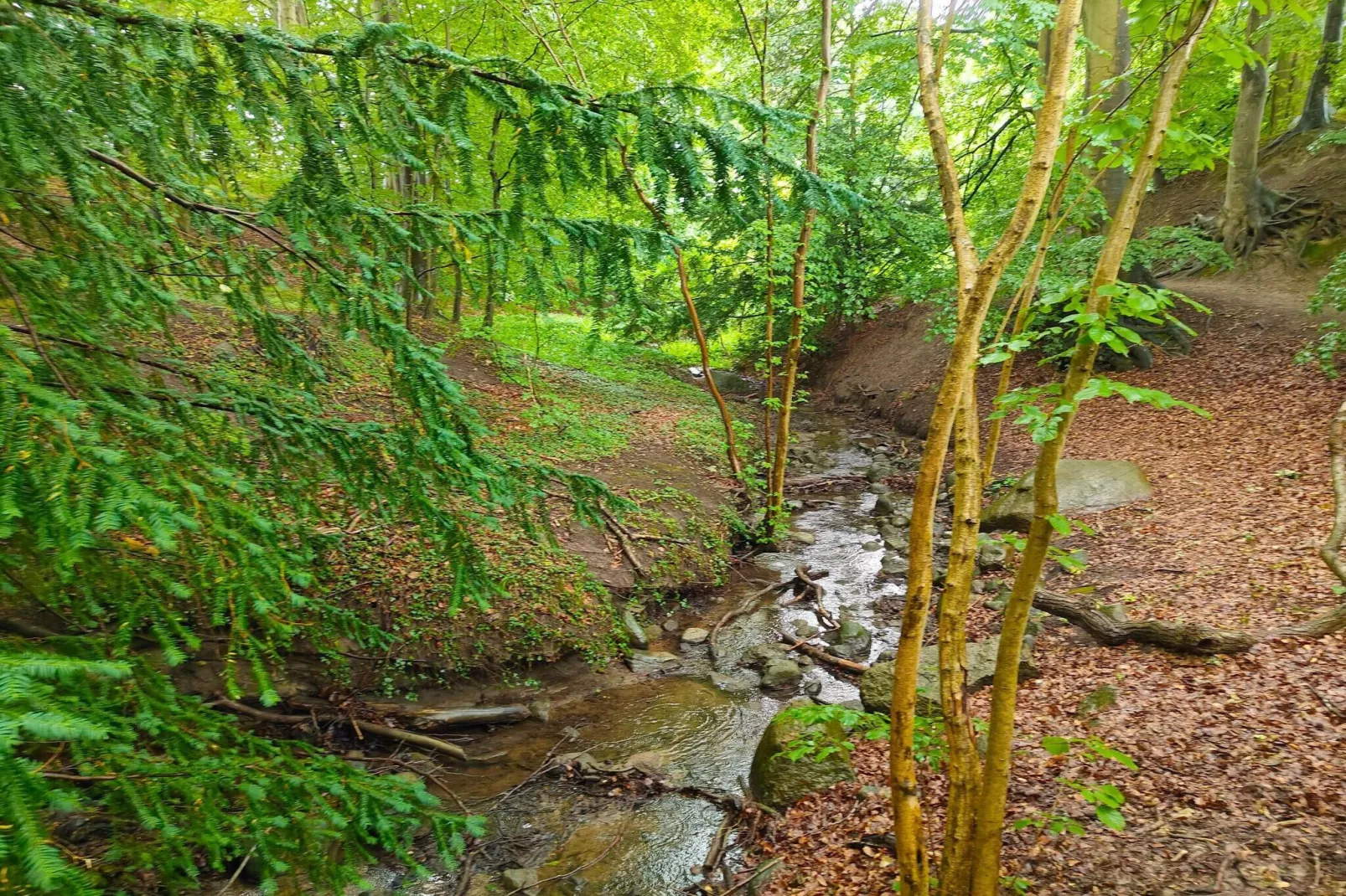 Beautiful cottage near the beach-Untagged