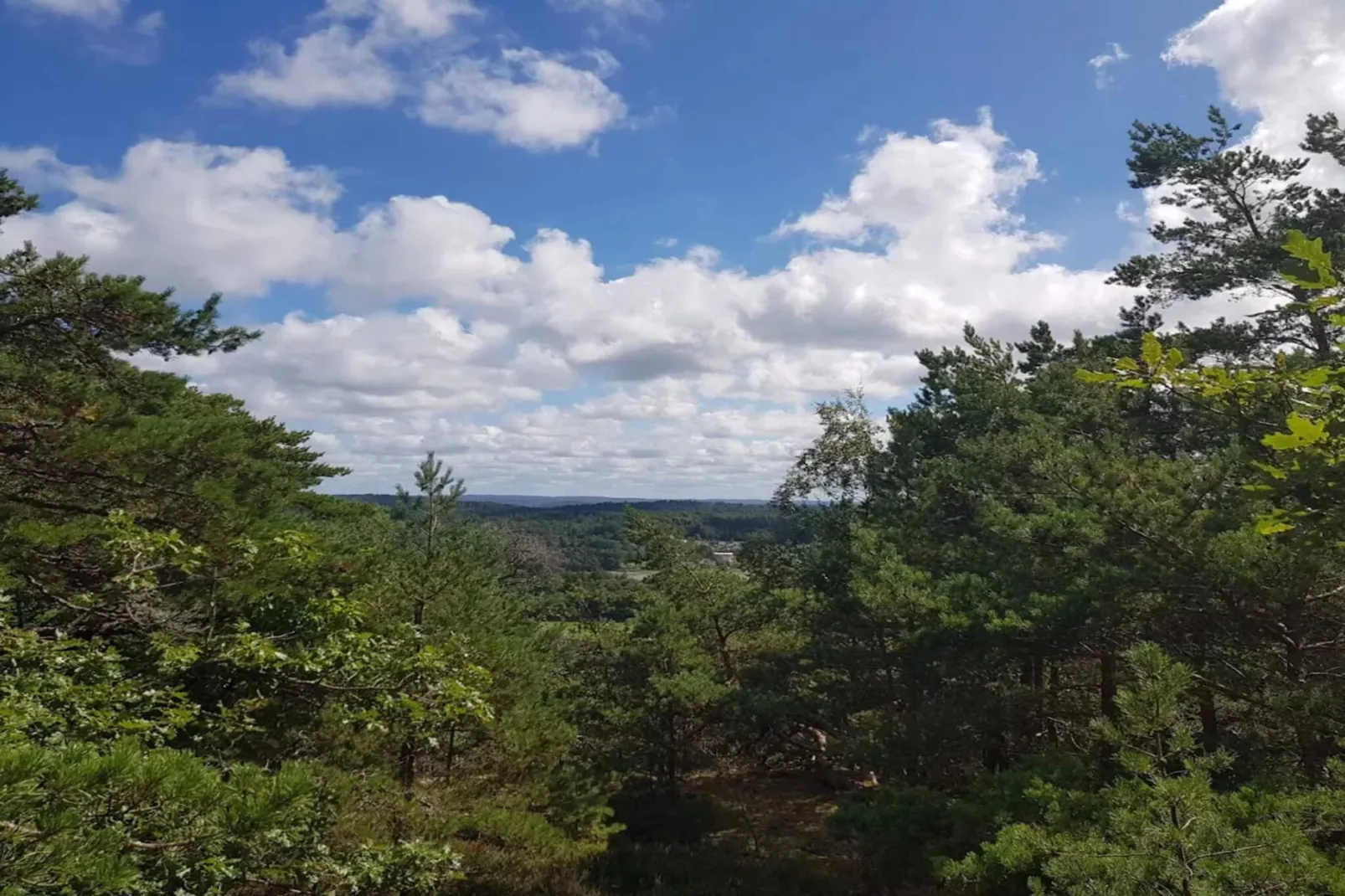 4 star holiday home in Mjörn-Water view