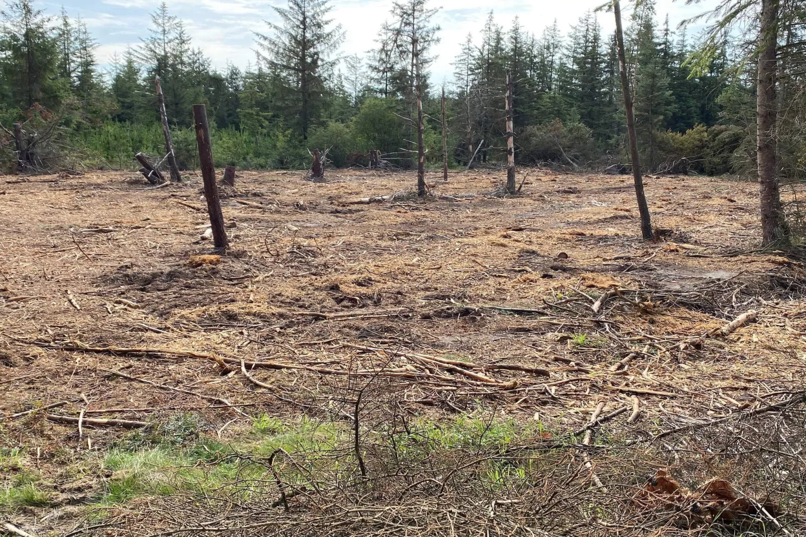 Maison de vacances pour 5 a Snedsted-Non tagué