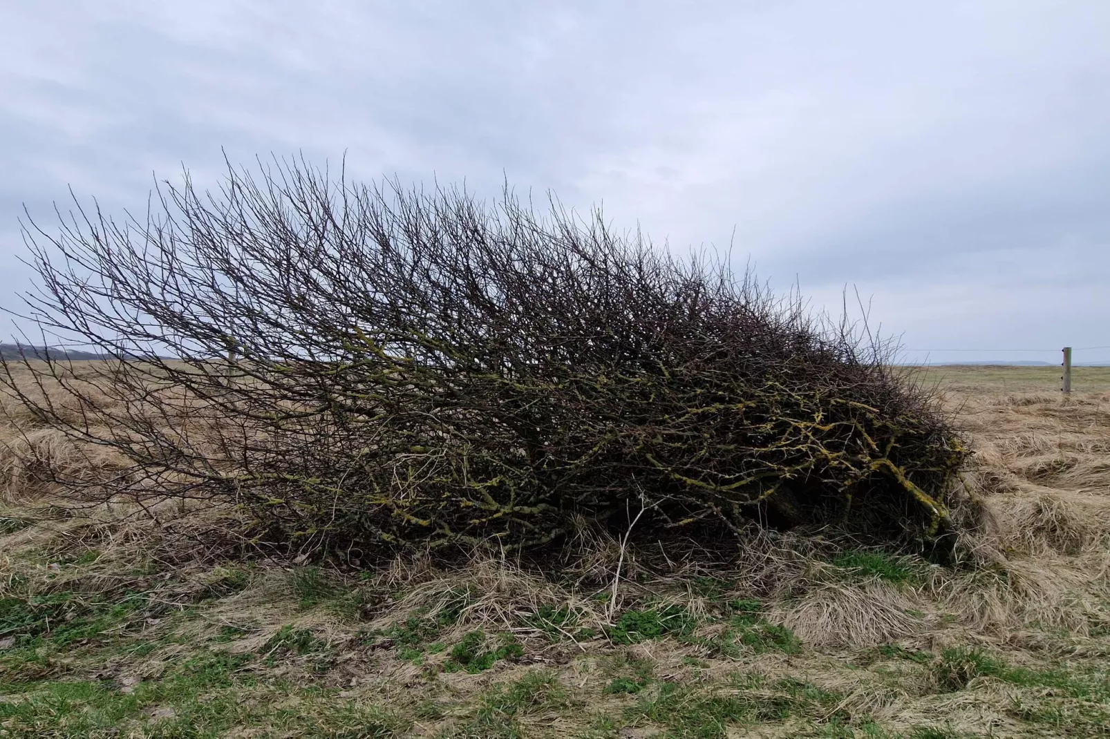 4 star holiday home in Spøttrup-Untagged