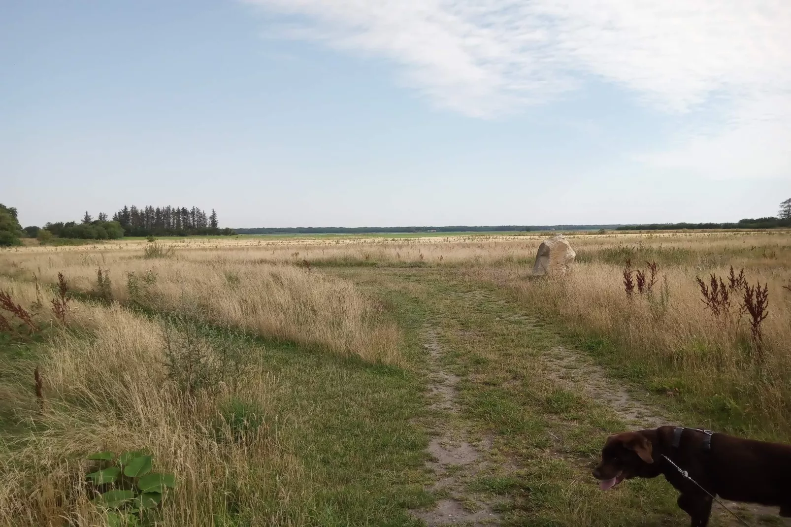 6 person holiday home in Storvorde-Untagged