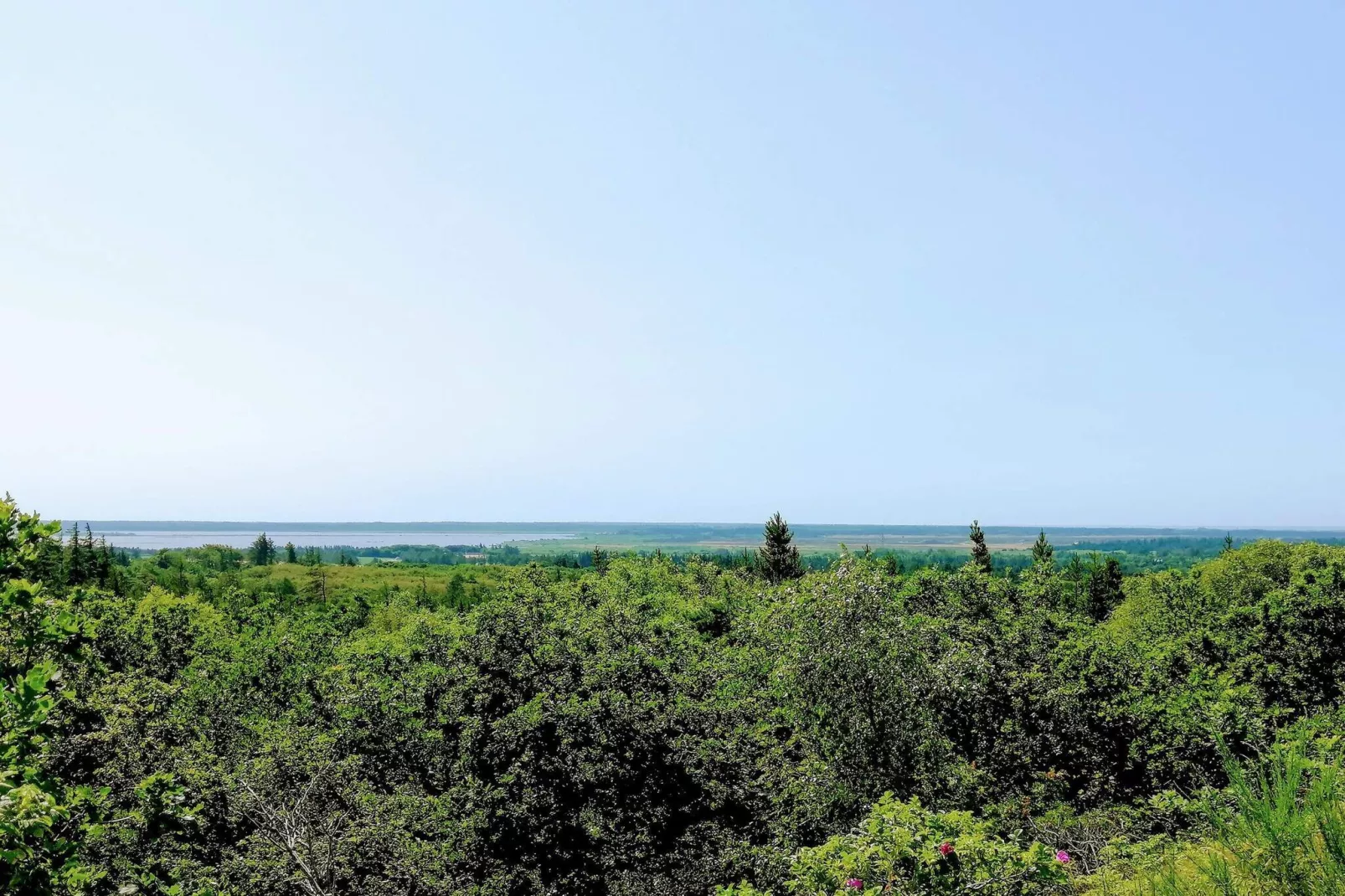 5 star holiday home in Henne Beach-Untagged