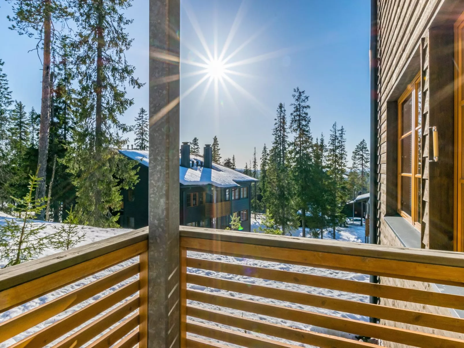 Karhunvartijan kota b1