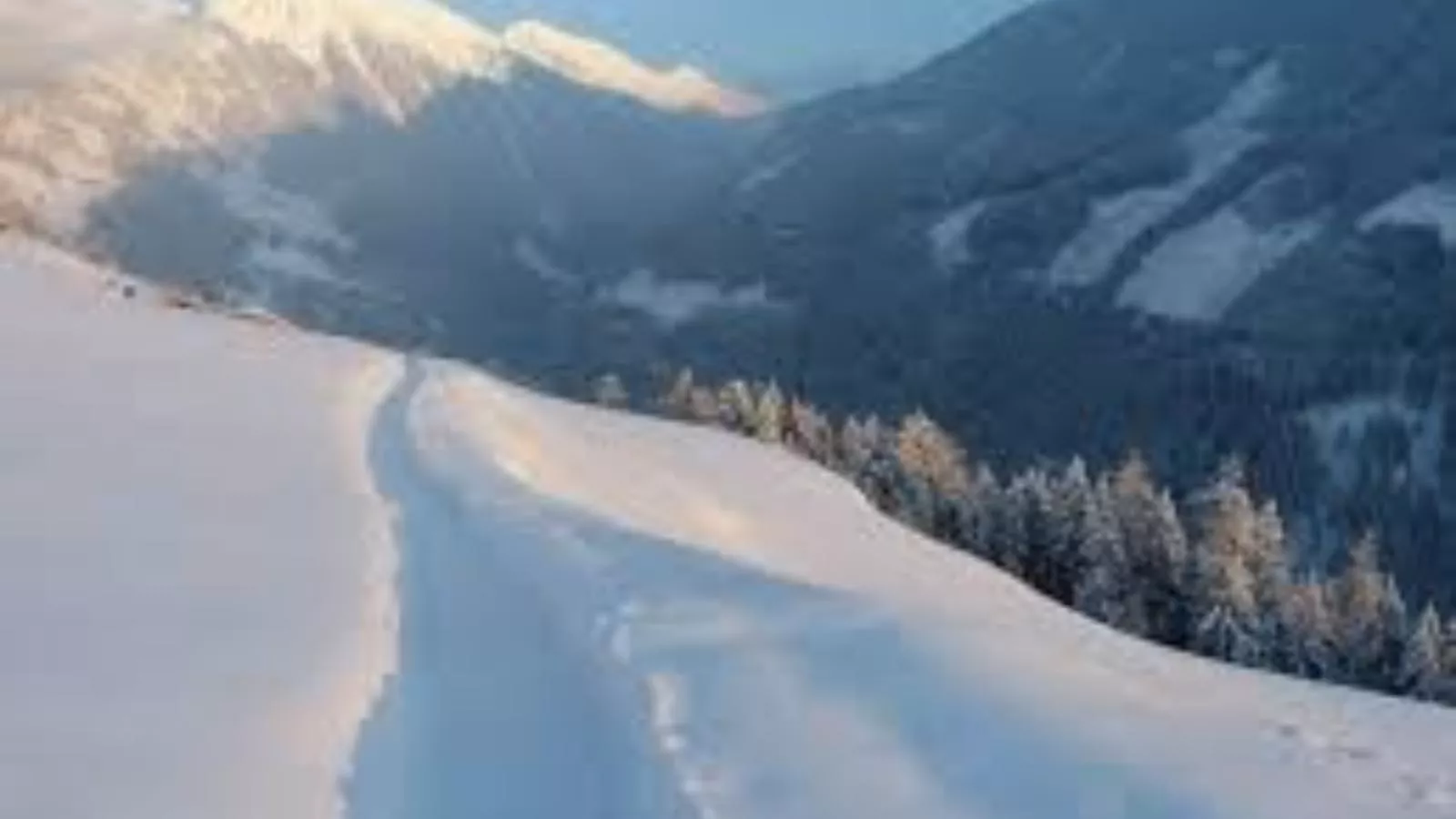 Baier-Gebiet Winter 20 km