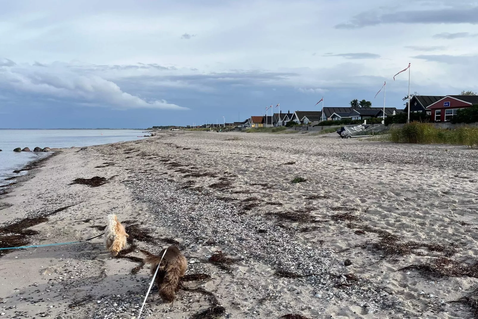 8 person holiday home in Otterup