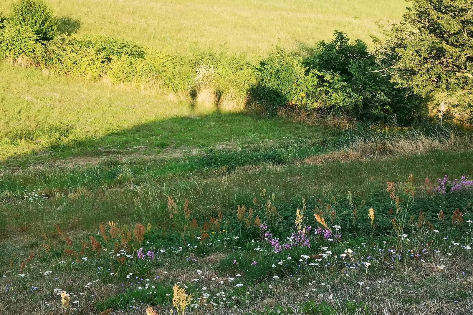 7 person holiday home in Asnæs-Untagged