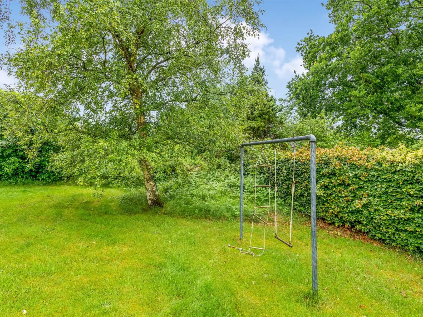 "Alica" -  from the sea