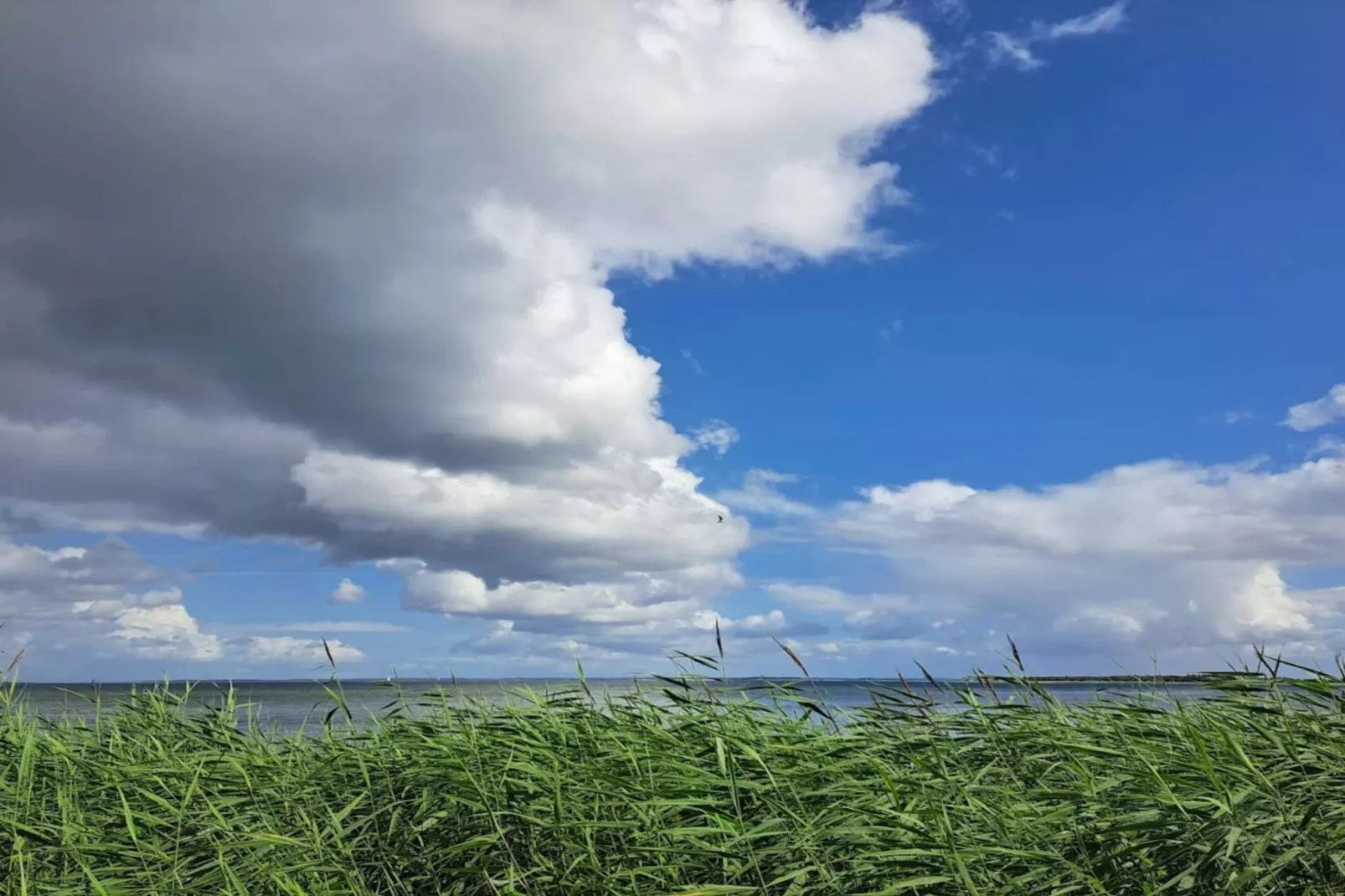 4 star holiday home in Haderslev-Water view