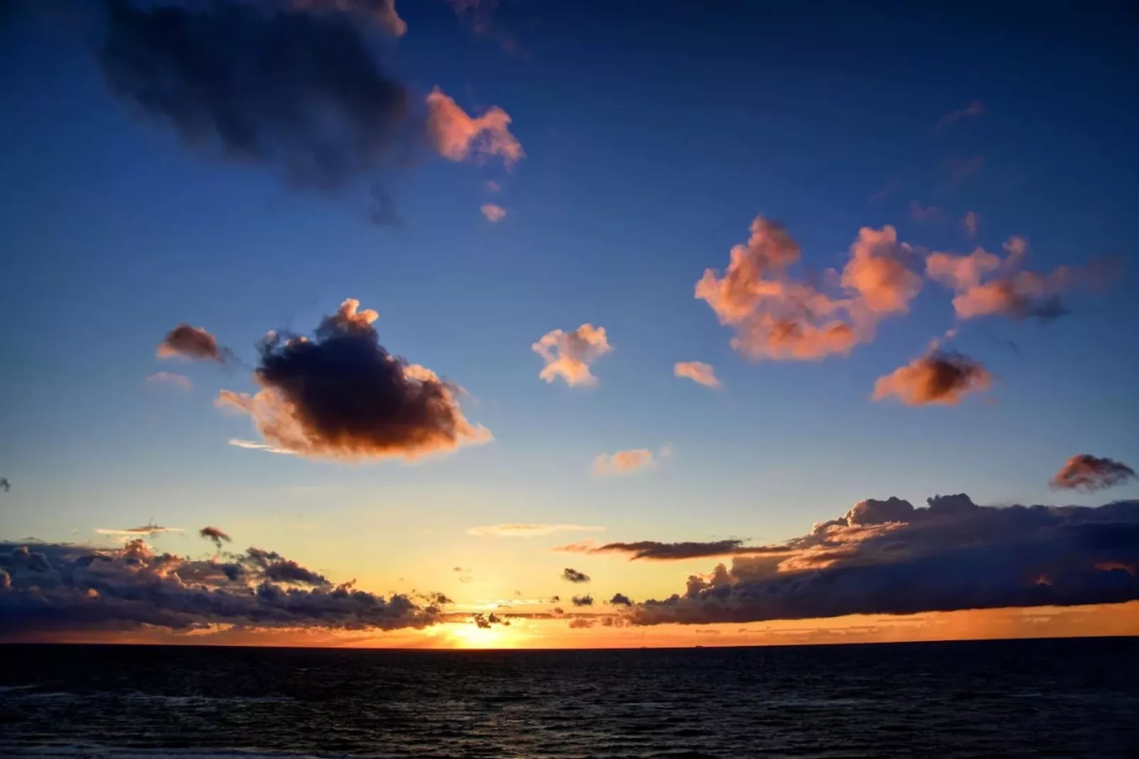 Haus Sonne - Garten Fewo - Strandhotel Fischland-Zones été à 5 km