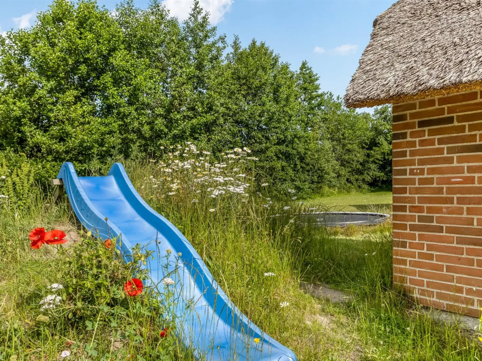 "Tara" - 900m from the sea