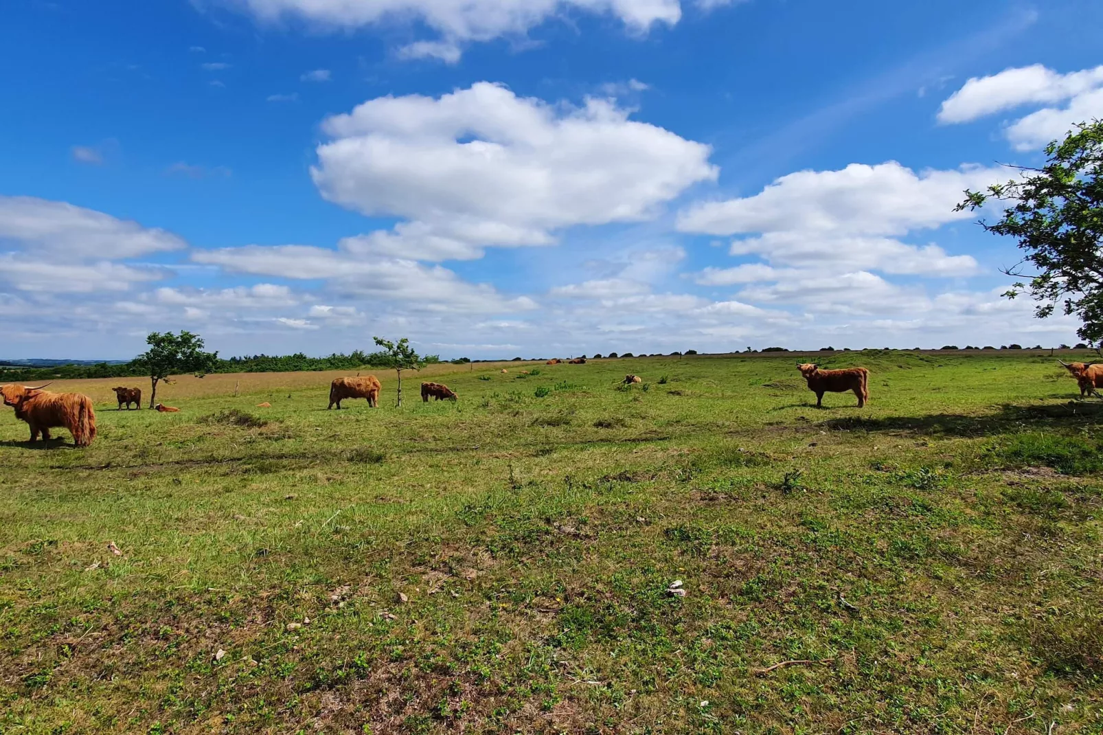 5 star holiday home in Farsø-Untagged