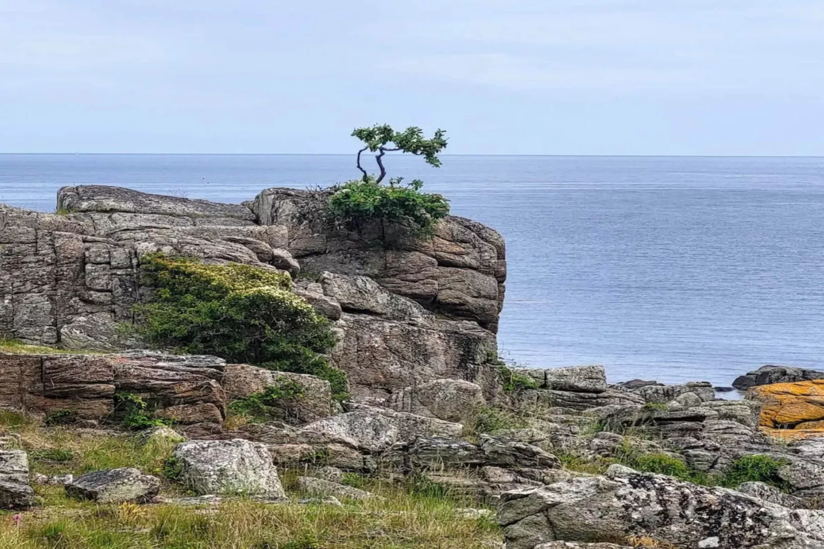 Maison de vacances pour 6 a Svaneke-Vue sur l'eau
