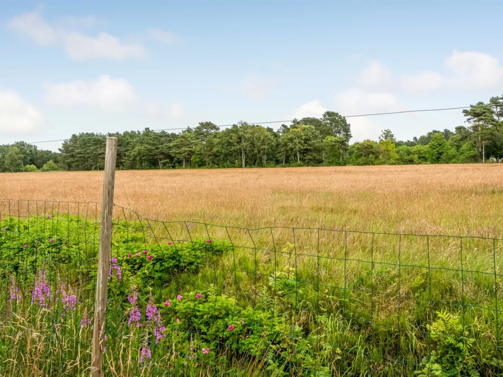 "Thine" - 800m from the sea-Dehors