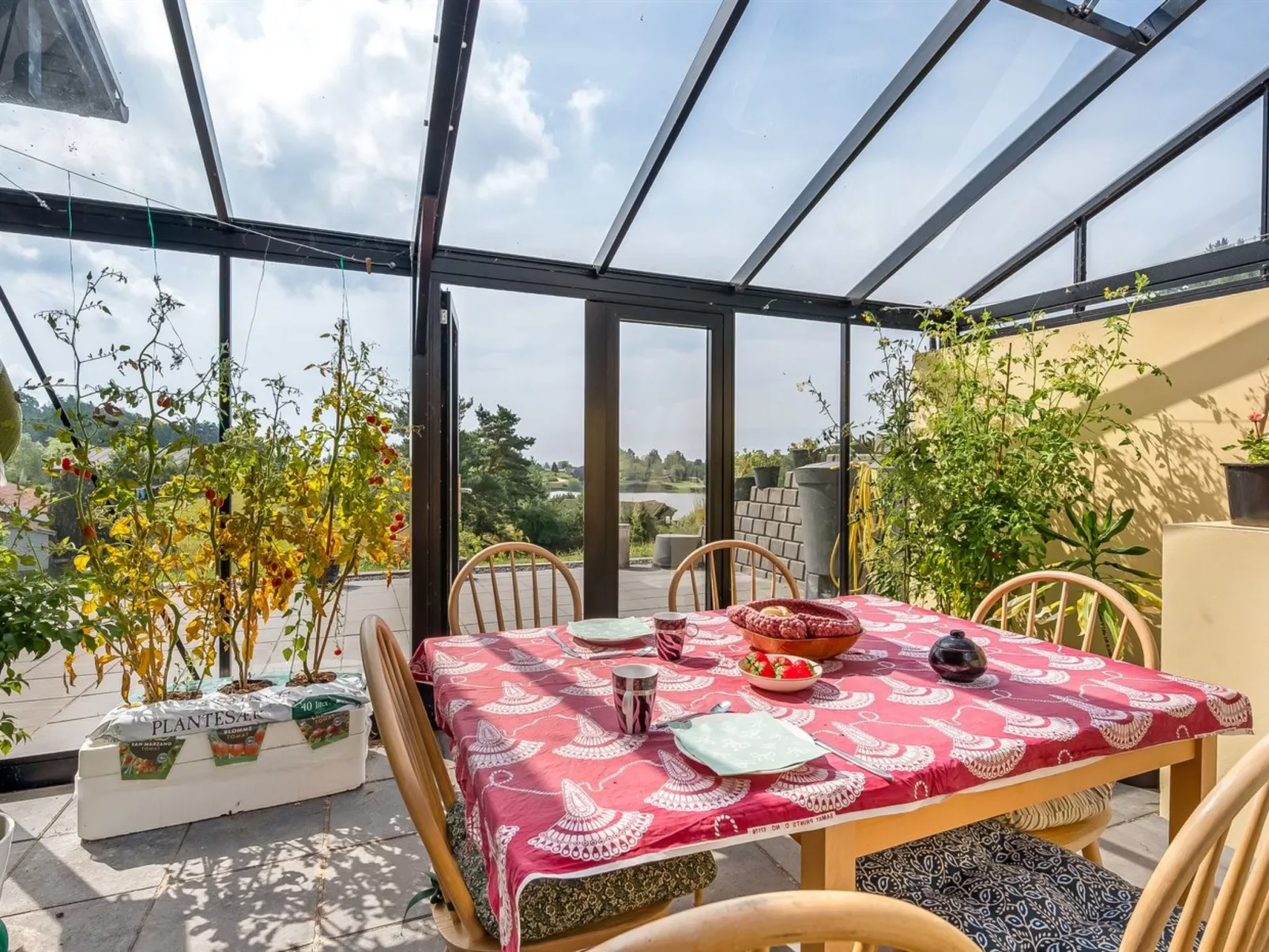 "Jonce" - 800m from the sea