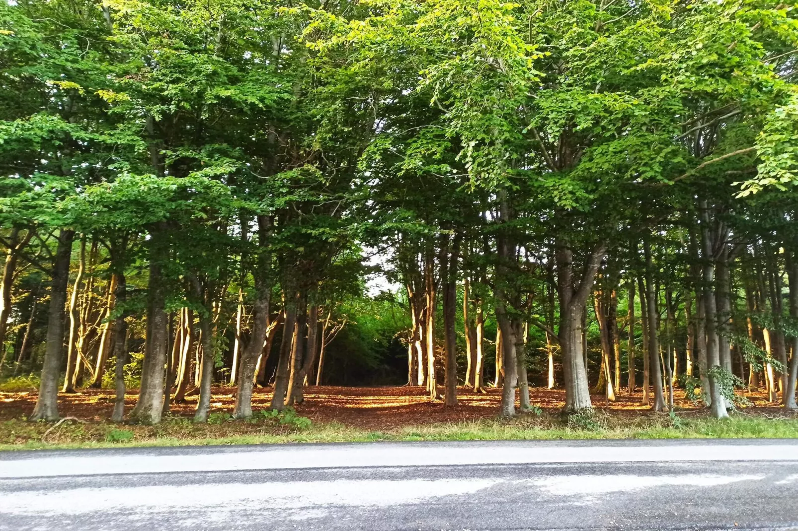 4 etoiles maison de vacances a Brønderslev-Non tagué