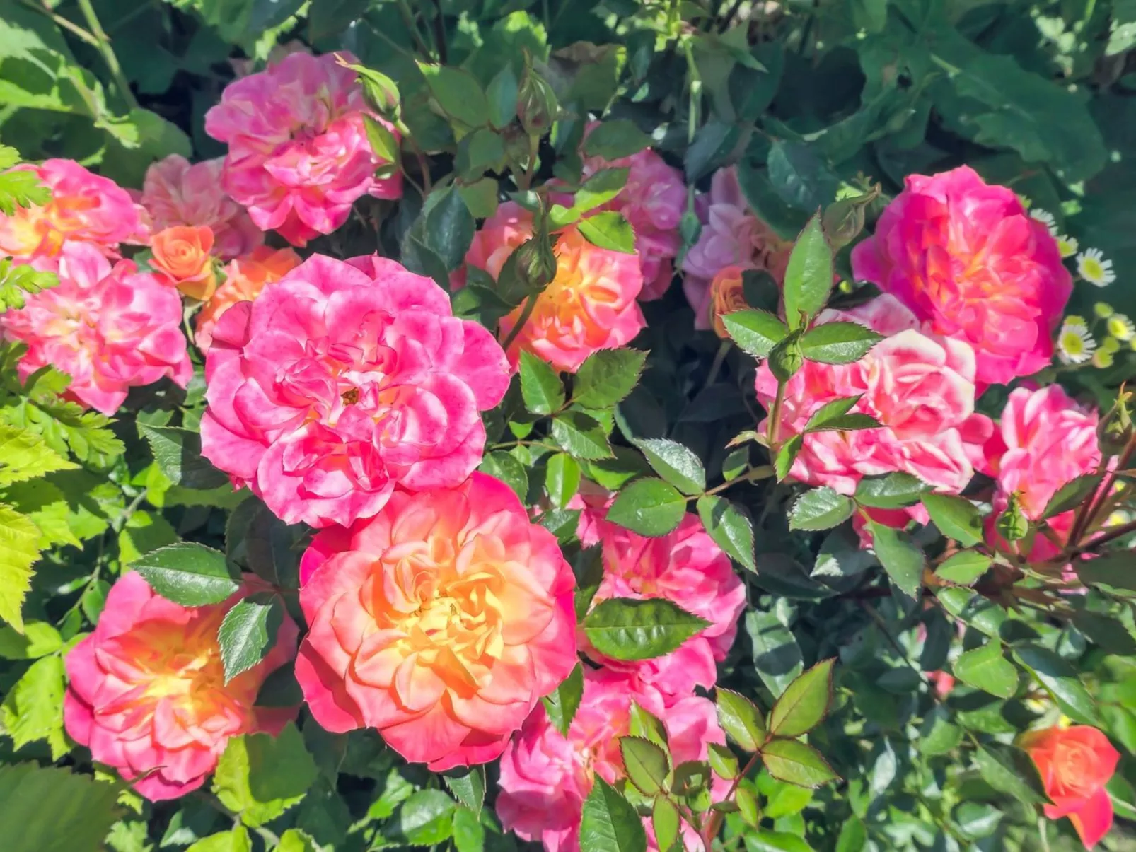 "Marit" - 1.5km from the sea